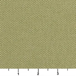 10111-04_Scale