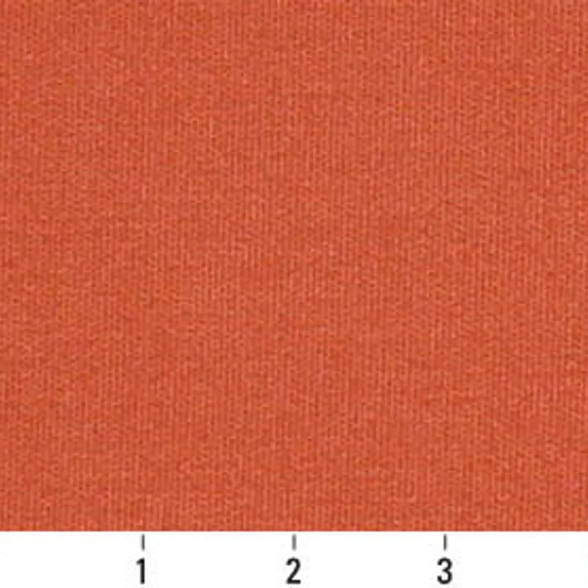 Clay Coral Plain Outdoor Upholstery Fabric by the Yard — Scale in inches