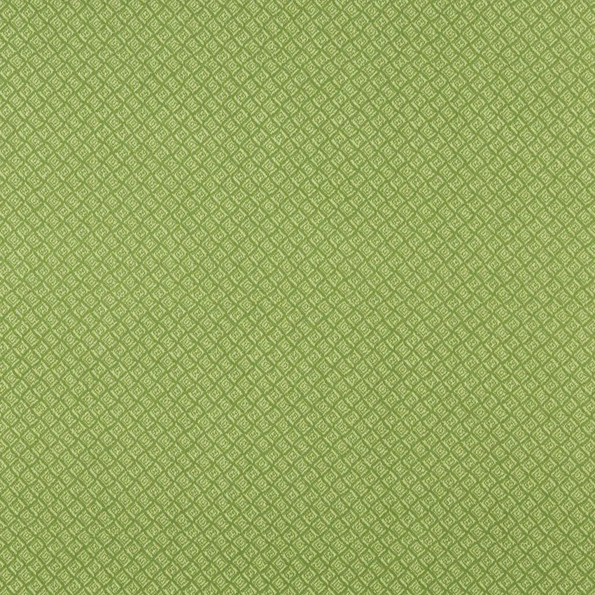 Meadow Light Green Contemporary Marine Upholstery Fabric by the Yard
