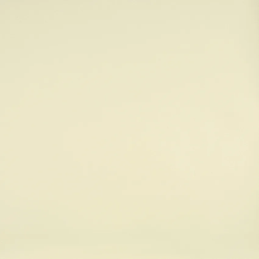 Sand Beige Leather Grain Leather Grain Upholstery Fabric by the Yard