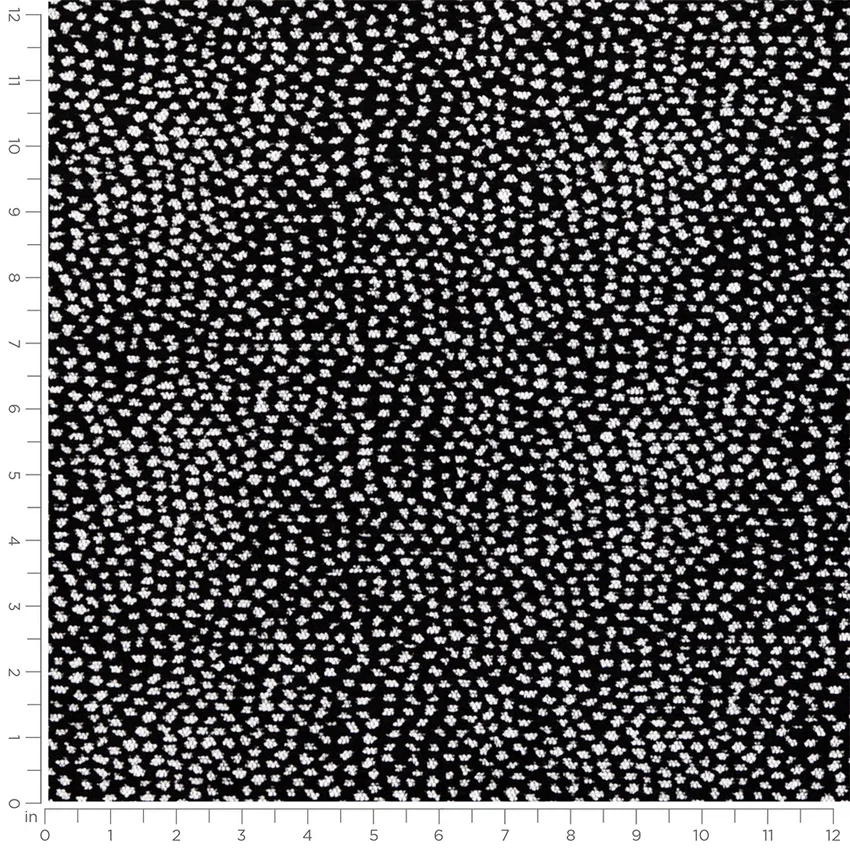 Felix Dalmatian Black Abstract & Geometric Chenille Upholstery Fabric by the Yard — Scale in inches