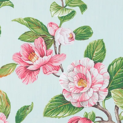 E5471 Sorbet Drapery and Upholstery Fabric by the yard