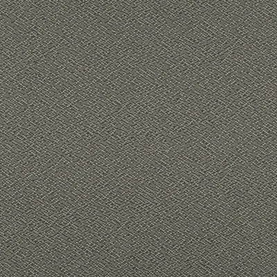 E2784 Stone Drapery and Upholstery Fabric by the yard