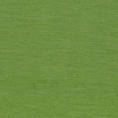 E8494 Palm Drapery and Upholstery Fabric by the yard
