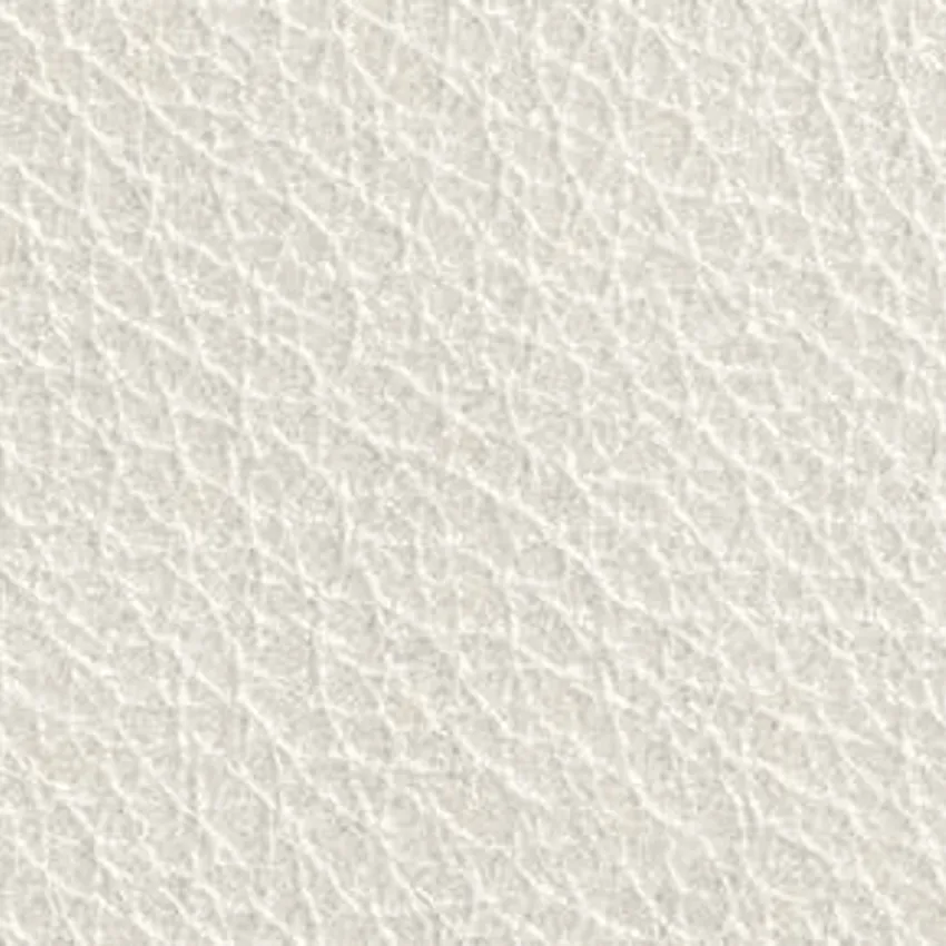 OFF WHITE 100% Genuine Leather From Germany by the Hide