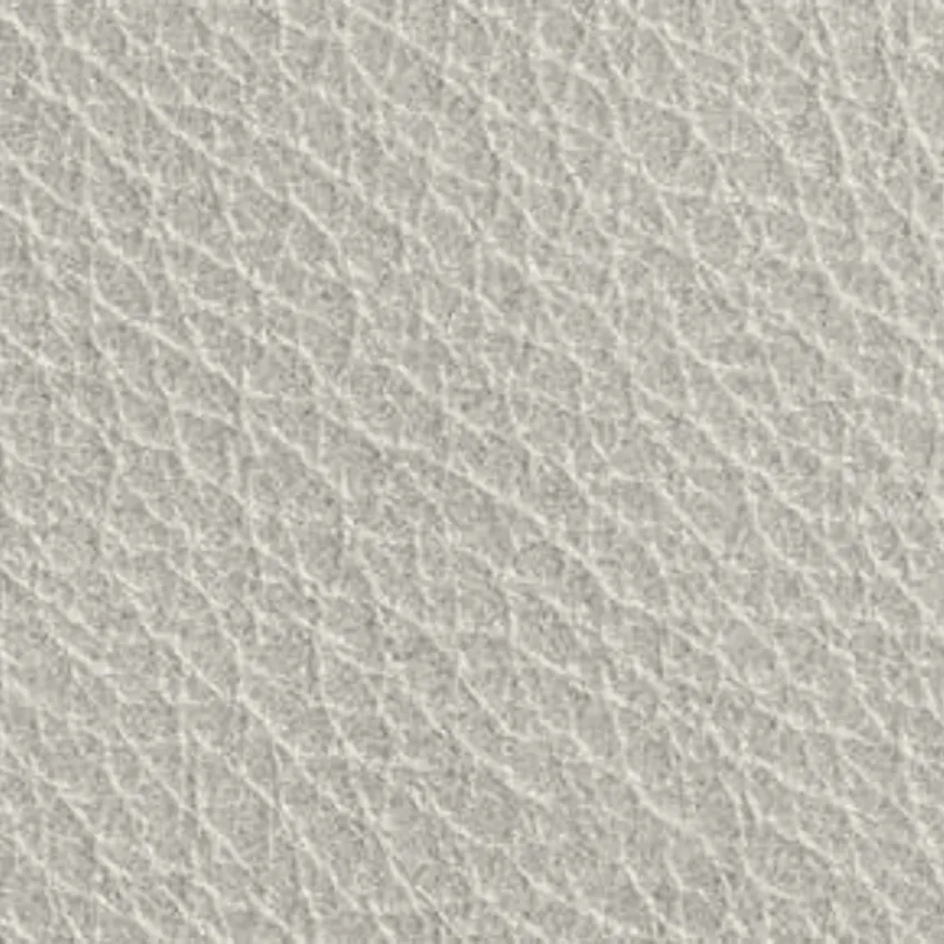 Light Grey 100% Genuine Leather From Germany by the Hide