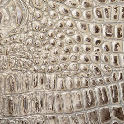 R7685 FILTERED SHADE Upholstery Fabric by the yard
