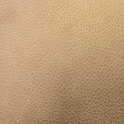 R5581 SUNFLOWER Upholstery Fabric by the yard