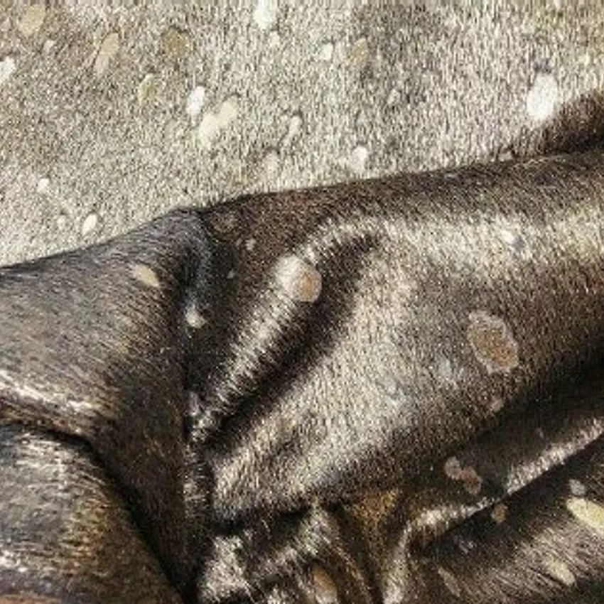 Gold On Black 100% Genuine Leather With Hair, Metallic Acid Wash From South America by the Hide — Upholstery Fabric