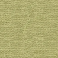 B3352 LIME Upholstery Fabric by the yard