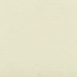 B5892 Ivory Upholstery Fabric by the yard