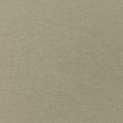 B5336 Light Green Upholstery Fabric by the yard