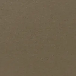 B2022 Beige Upholstery Fabric by the yard
