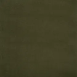 E8486 Fores Upholstery Fabric by the yard