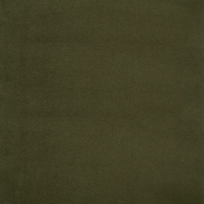 Fores Green Solid Velvet Upholstery Fabric by the Yard