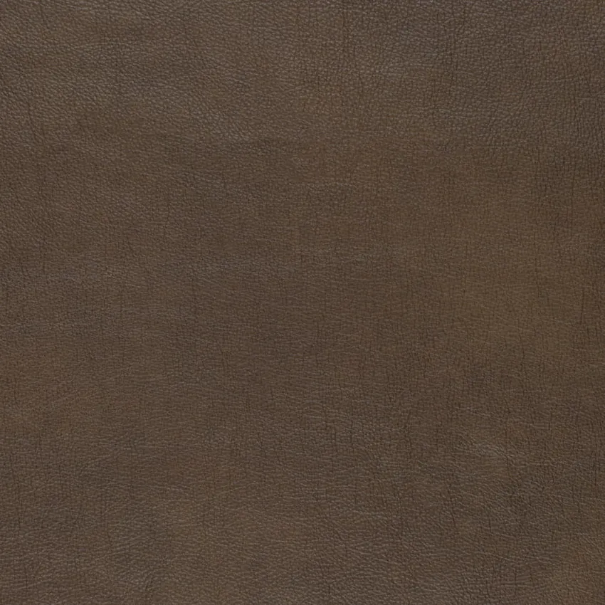 Bark Semi-Aniline Top Grain Leather From Brazil by the Hide