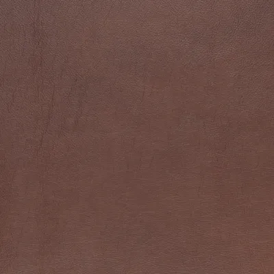R8205 Chestnut Upholstery Fabric by the yard