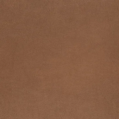 R8209 Nutmeg Upholstery Fabric by the yard