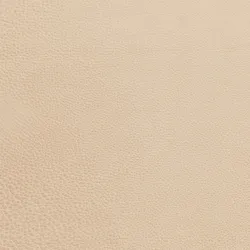 R8227 Beige Upholstery Fabric by the yard
