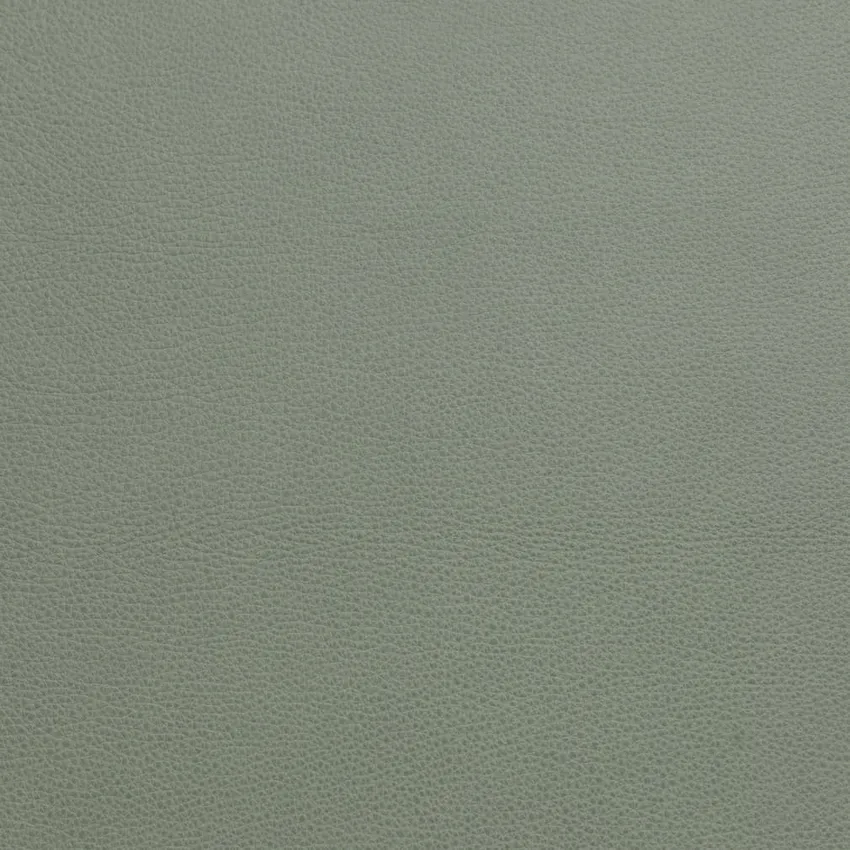 Sage Semi-Aniline Full Grain Leather From Italy by the Hide