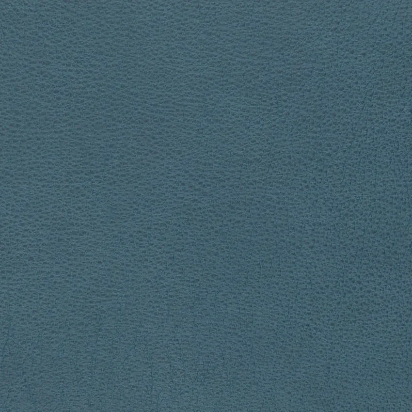 Surf Semi-Aniline Full Grain Leather From Italy by the Hide