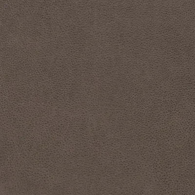 R8238 Walnut Upholstery Fabric by the yard