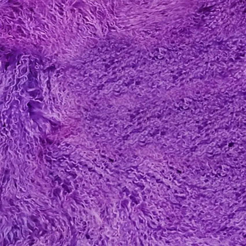 Viola 100% Genuine Tibetan Lambskin From Tibet by the Hide