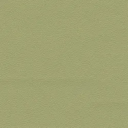 E2054 Celery Upholstery Fabric by the yard