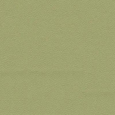 E2054 Celery Upholstery Fabric by the Yard