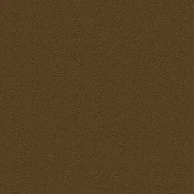 E6241 Lasso Upholstery Fabric by the Yard