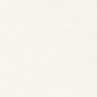E1466 Ermine Upholstery Fabric by the Yard